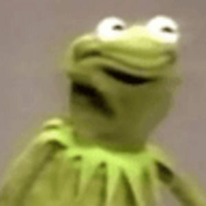 Meet your Posher, Lucy